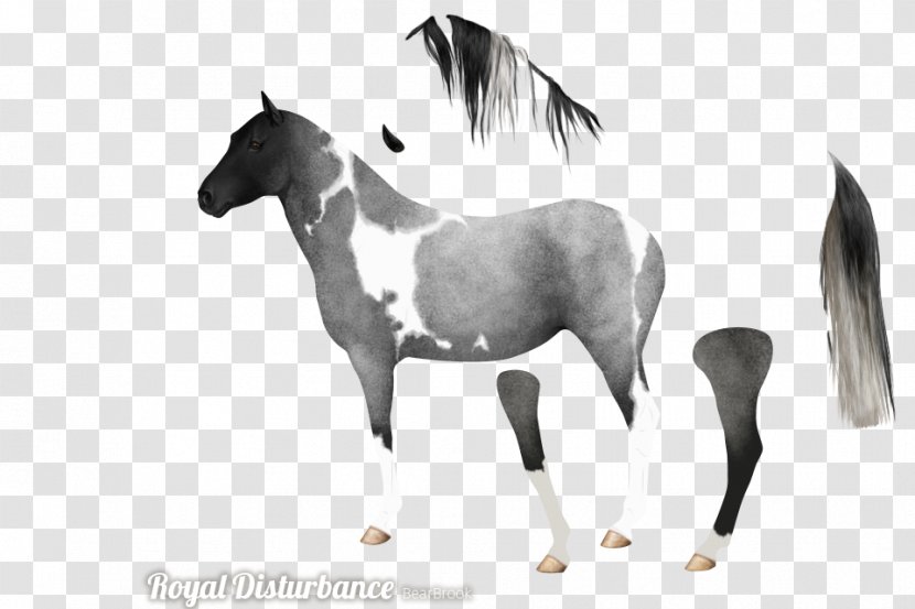 Mane Mustang Stallion Foal Mare - Livestock Transparent PNG