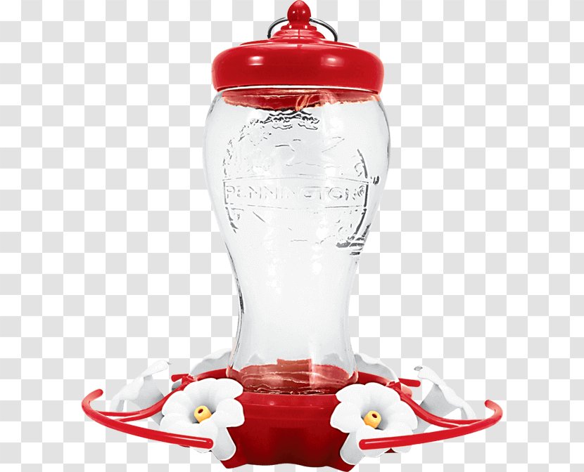 Hummingbird Bird Feeders Glass Bottle - Gulpjs Transparent PNG