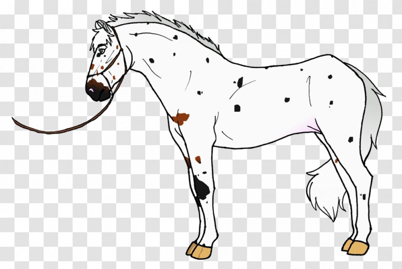 Mane Foal Stallion Mustang Colt Transparent PNG
