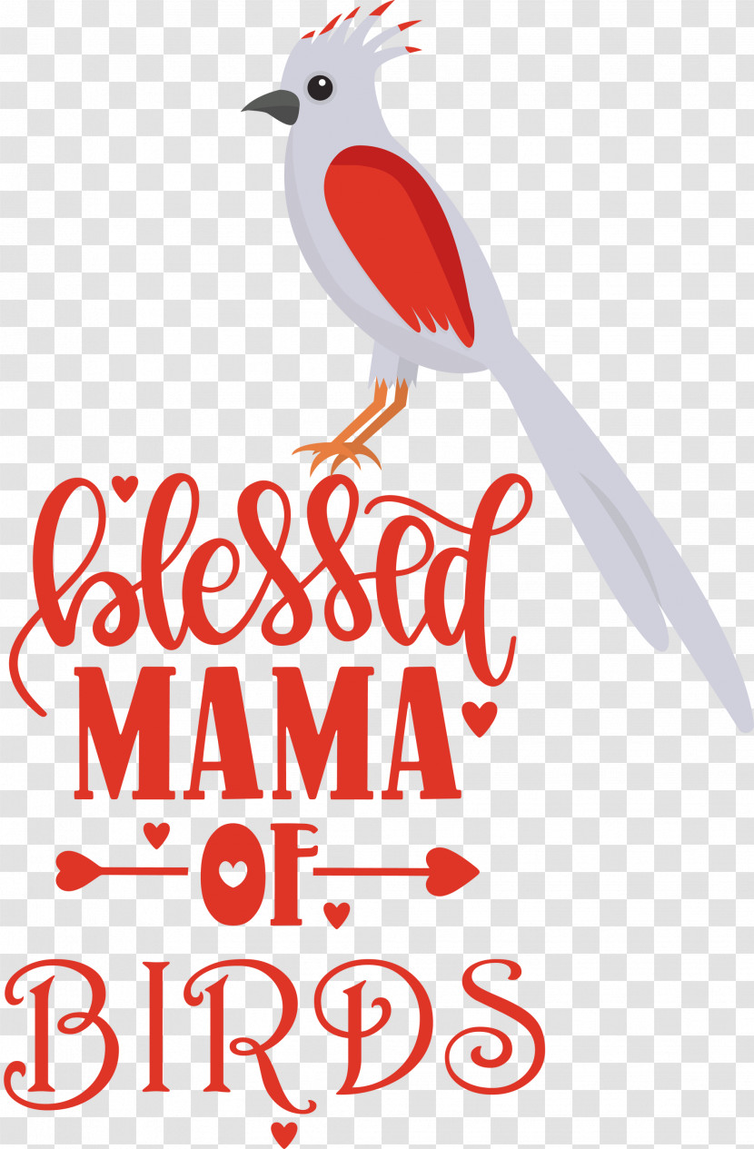 Bird Birds Blessed Mama Of Birds Transparent PNG