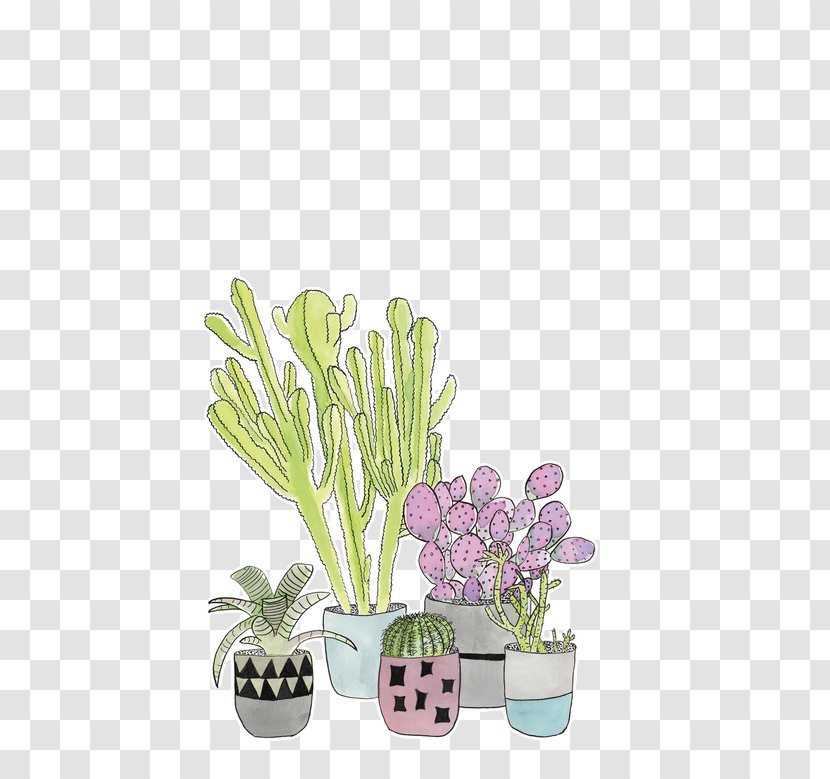 Cactaceae Succulent Plant Header T-shirt - Art - Cartoon Cactus Succulents Transparent PNG