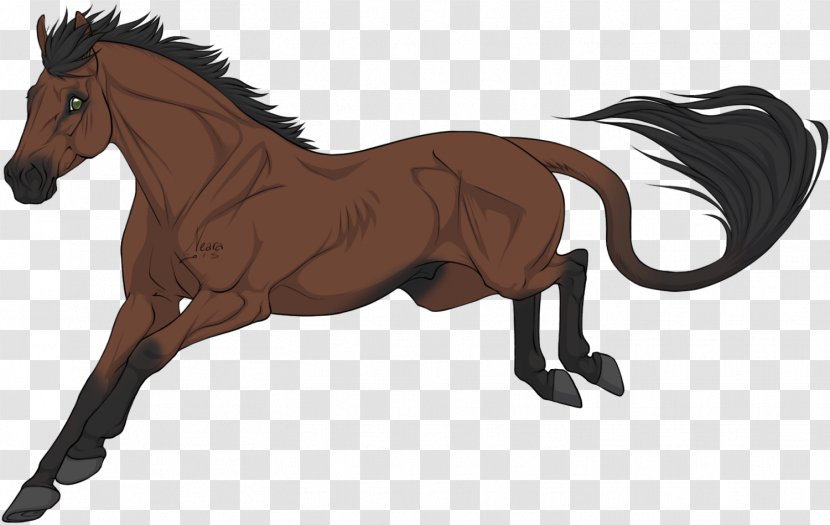 Foal Mane Stallion Mustang Colt - Mammal Transparent PNG