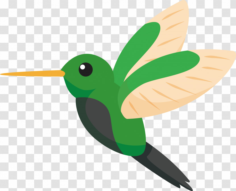 Hummingbirds Insect Green Beak Transparent PNG