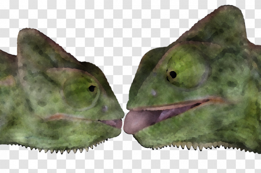 Dinosaur Transparent PNG