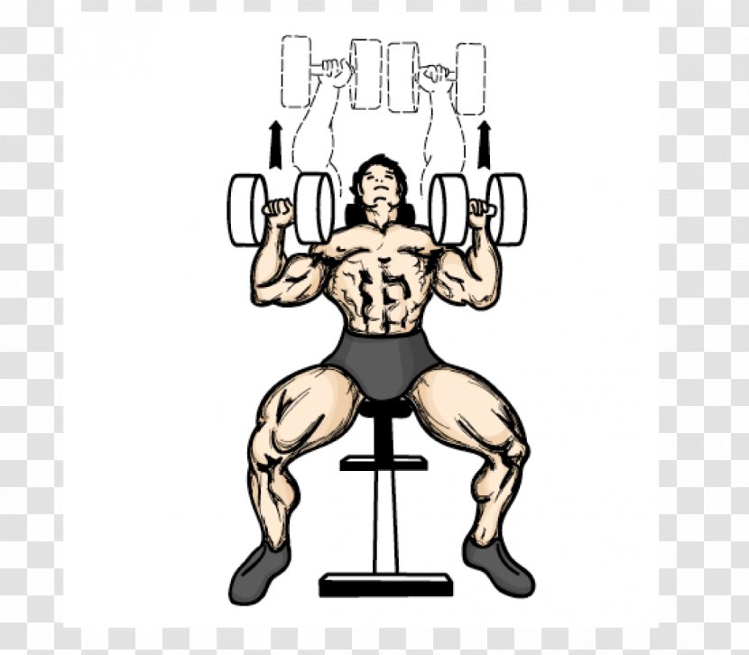 Bench Press Dumbbell Fly Weight Training - Fictional Character Transparent PNG