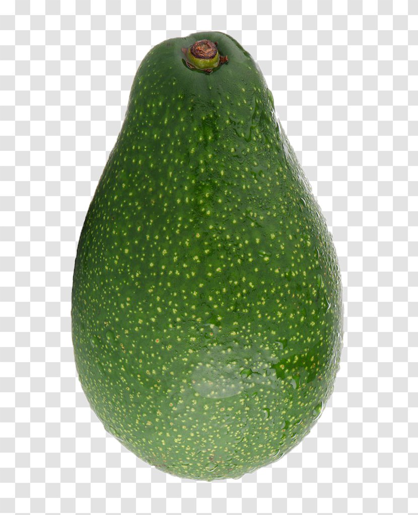 Avocado Food Gourd Copyright - Cucurbita Transparent PNG