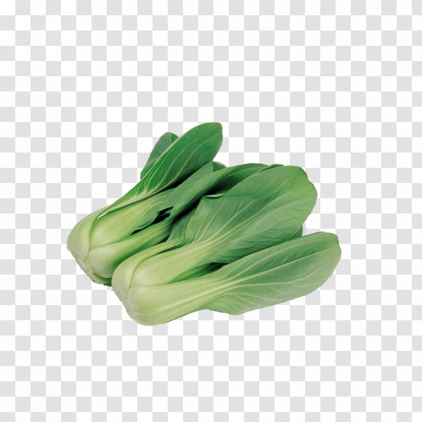 Napa Cabbage Vegetable Choy Sum Food Nutrition Transparent PNG