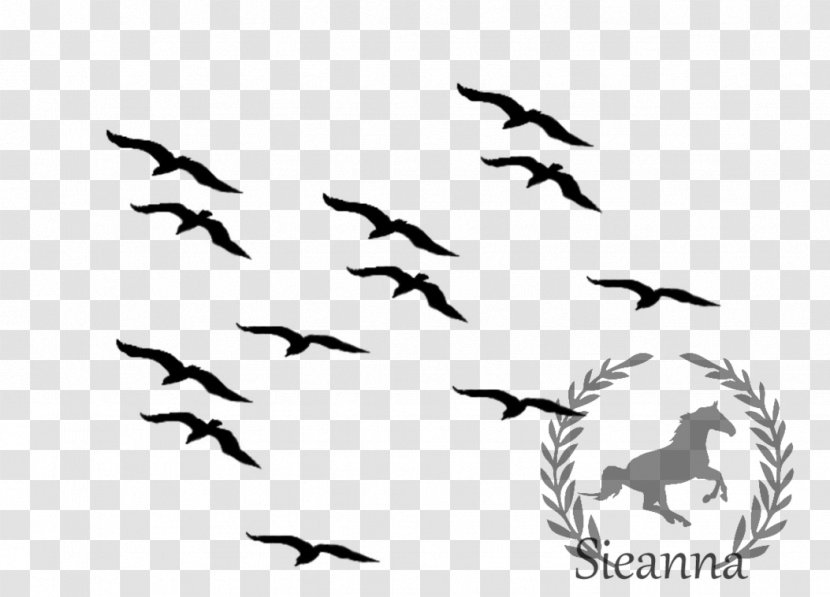 Bird Flight Common Blackbird Clip Art - Fauna - Seagulls Flying Transparent PNG