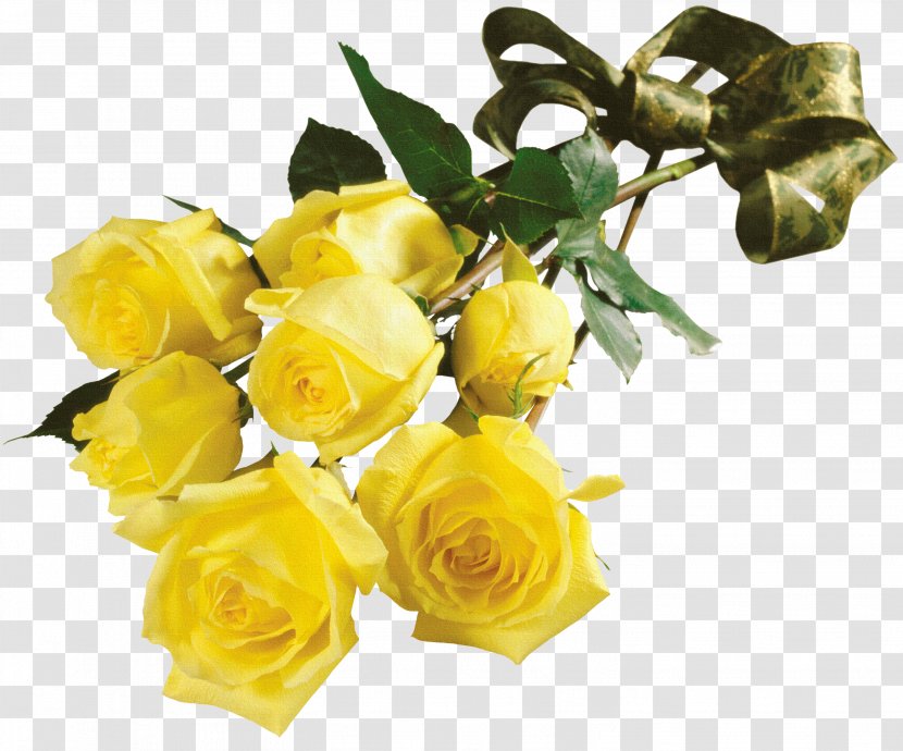 Garden Roses Flower Bouquet Yellow Houseplant - White Transparent PNG