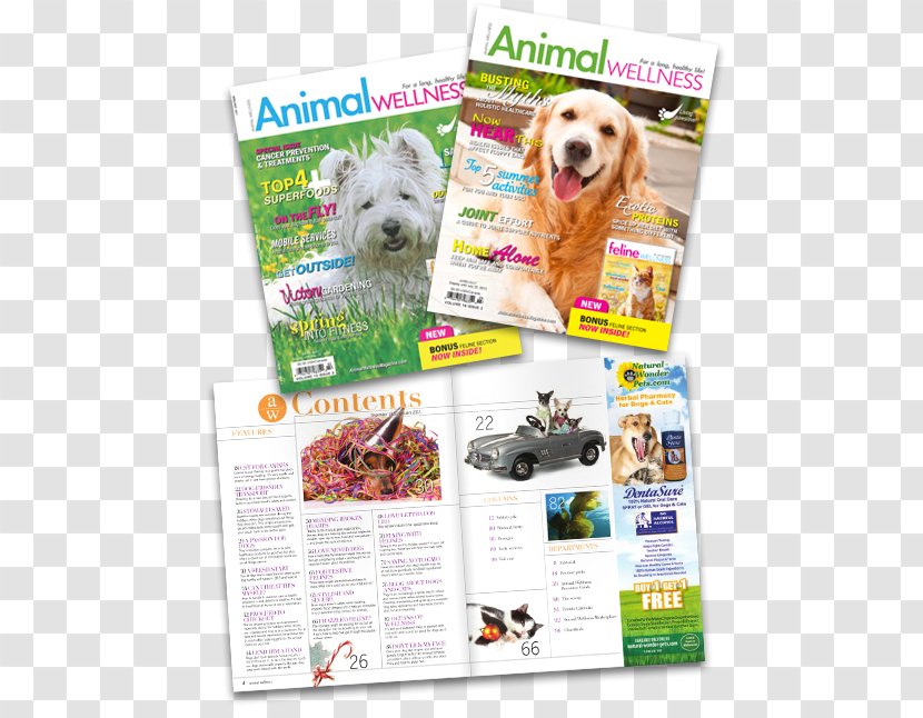 Dog Breed Advertising Product Sample Canada Transparent PNG