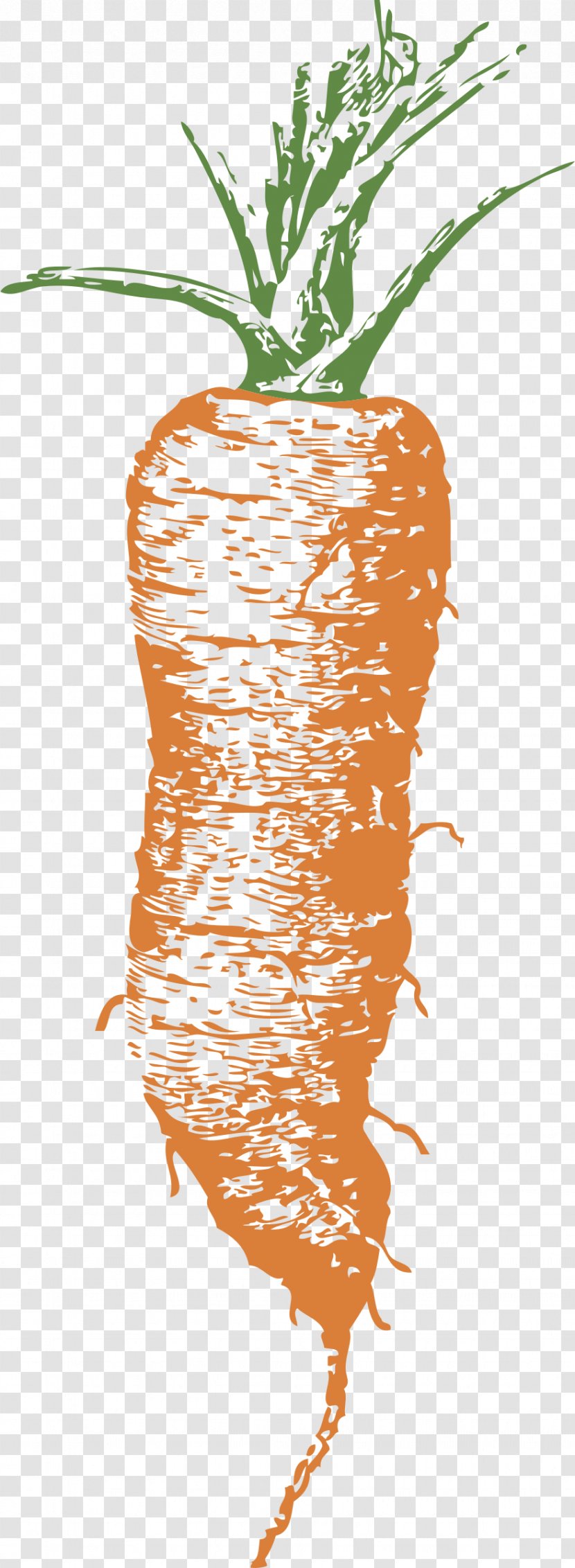 Carrot Coleslaw Clip Art - Leaf Transparent PNG