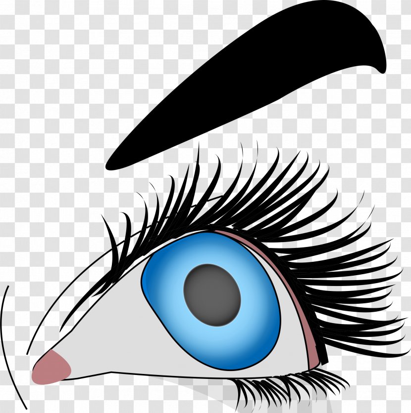 Eye Clip Art - Tree - Brow Transparent PNG