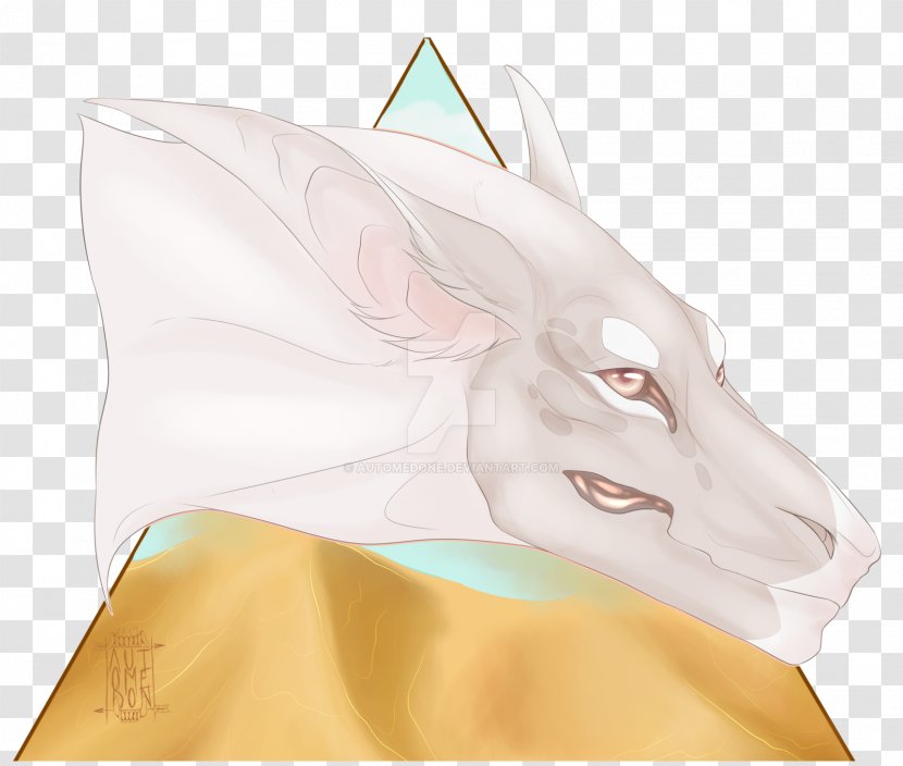 Snout Hare Jaw Ear - Rabbit Transparent PNG