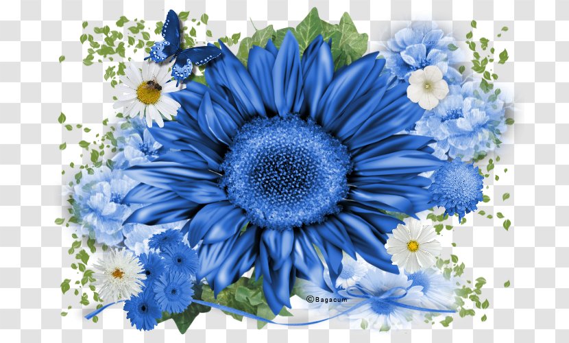 Flower Blue - Arranging - Creative Daffodils Transparent PNG