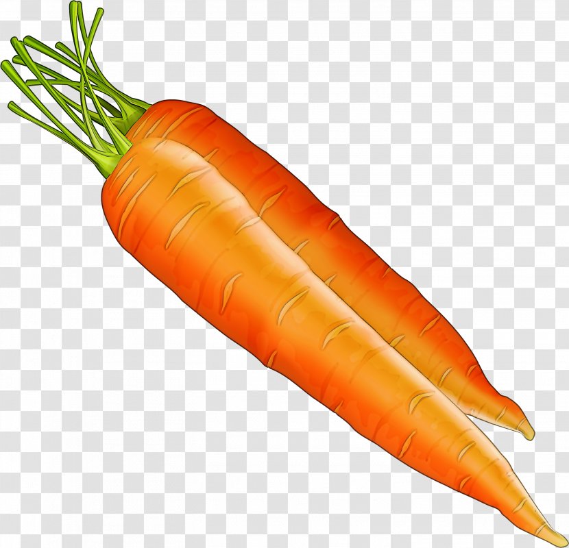 Carrot Vegetable Root Food Wild - Plant - Local Natural Foods Transparent PNG
