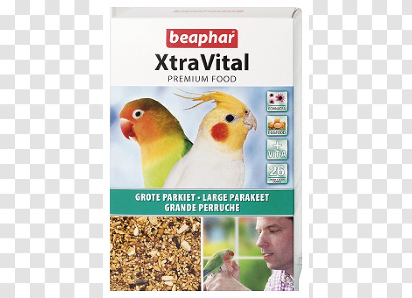 Cockatiel Bird Food Parakeet Atlantic Canary - Cage Transparent PNG