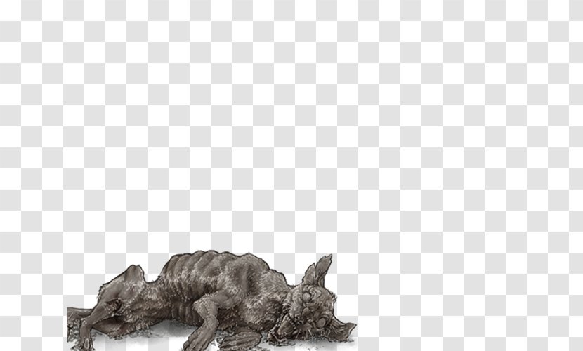 Lion Hyena Felidae Carnivora Mane Transparent PNG