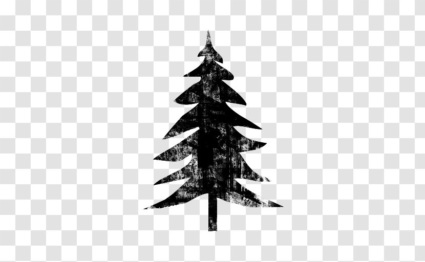 Spruce Fir Tree Symbol - Plant Transparent PNG