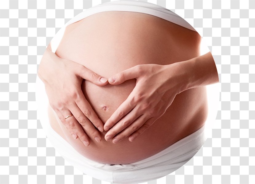 Pregnancy Abdomen Childbirth Prenatal Care Infant - Flower Transparent PNG