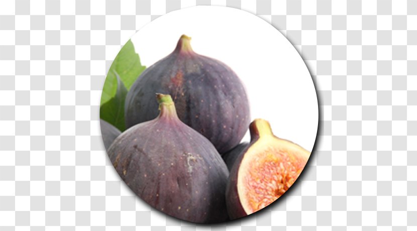 Common Fig Leaf Auglis Stock Photography Fruit - Barbary Transparent PNG