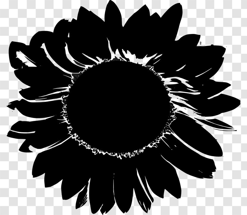 Clip Art Image Flower Photograph Blog - Sunflower Transparent PNG