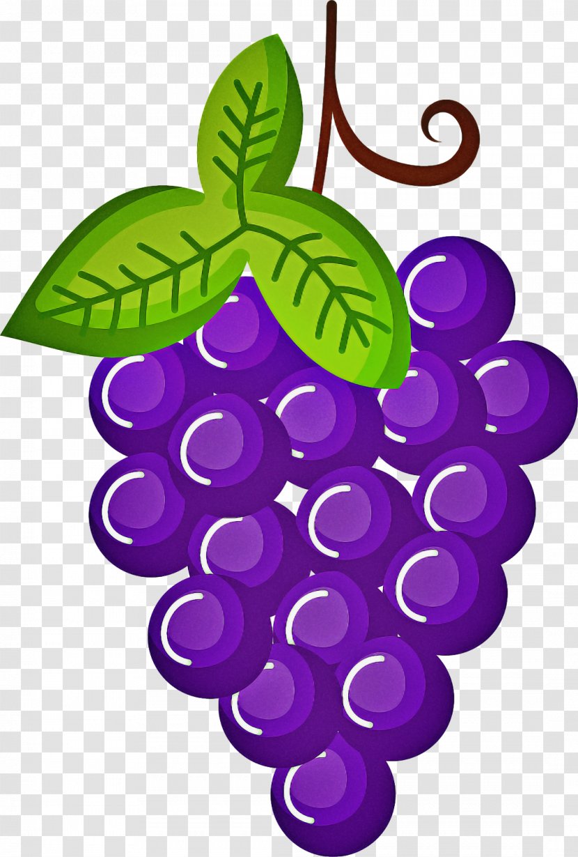Drawing Of Family - Grapevine - Fruit Plant Transparent PNG