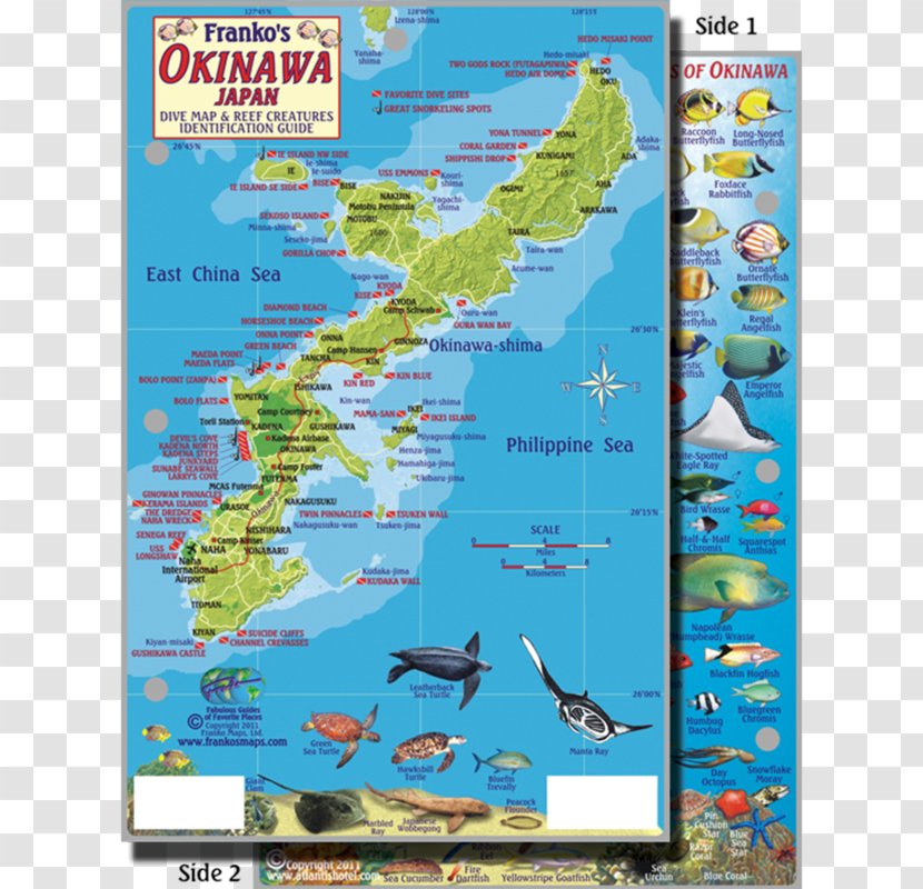 Okinawa Island Coral Reef Map Transparent PNG