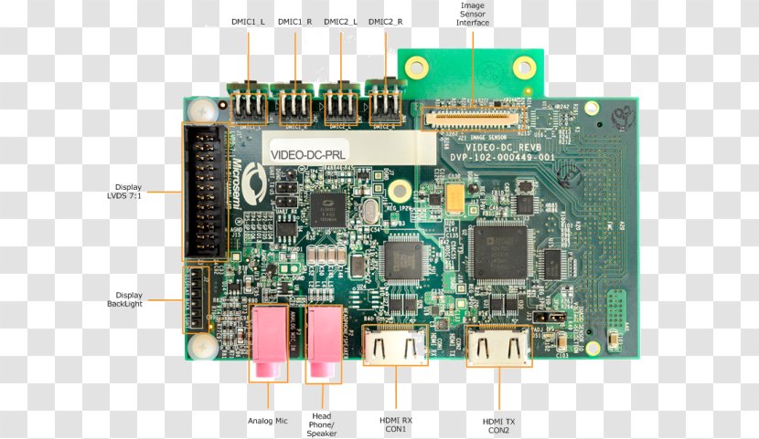 Microcontroller Graphics Cards & Video Adapters TV Tuner Computer Hardware Central Processing Unit - Programmer - Application Programming Interface Transparent PNG