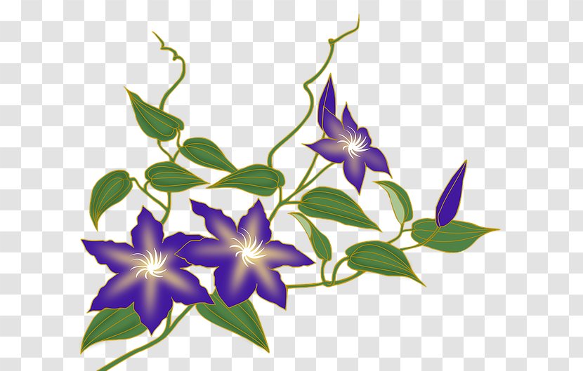 Image Vine Stock.xchng Clip Art - Bellflower - Handpainted Flowers Transparent PNG