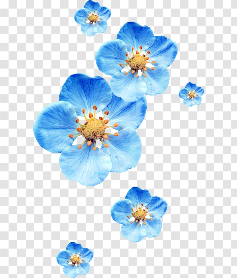 Flower Blue Clip Art - Petal Transparent PNG