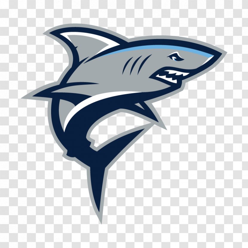 Charles J. Colgan Sr. High School Manassas Gar-Field Senior Gulf Coast National Secondary - Logo - Sharks Transparent PNG