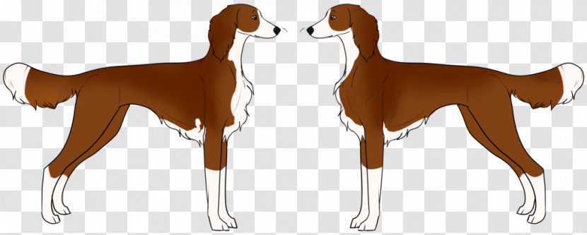 Dog Breed Azawakh Paw Clip Art - Carnivoran - Rare Transparent PNG