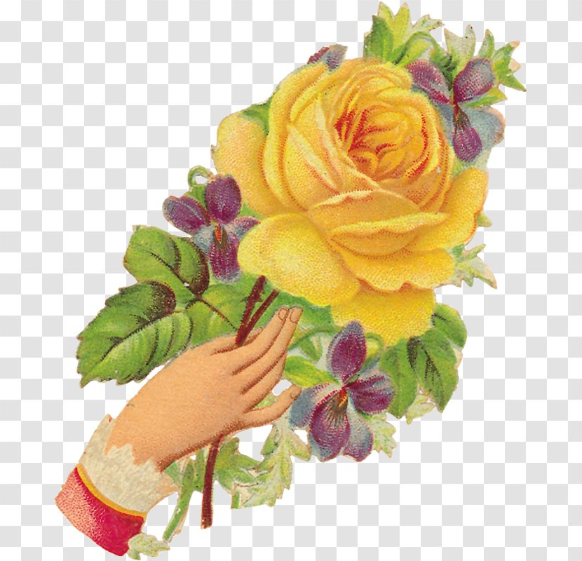 Garden Roses Cabbage Rose Floral Design Flower Clip Art - Order Transparent PNG