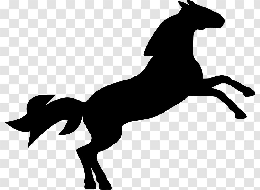 Horse Clip Art - Black And White Transparent PNG