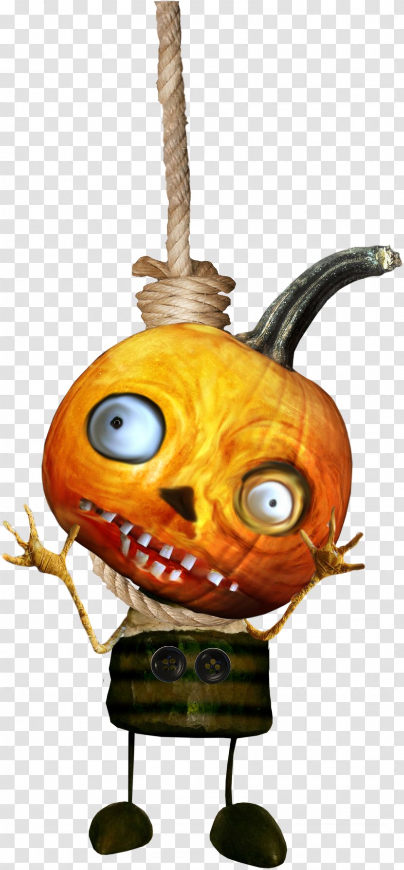 Pumpkin Calabaza Jack-o'-lantern Cucurbita - Halloween Transparent PNG