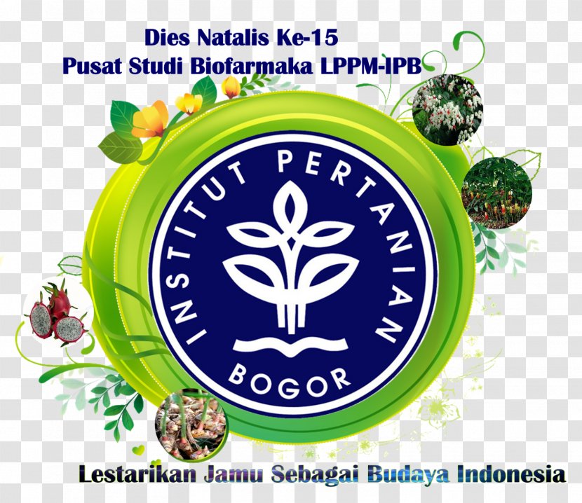 Bogor Agricultural University Curug Putri Pelangi Agriculture Konplott - Watercolor - Budaya Indonesia Transparent PNG