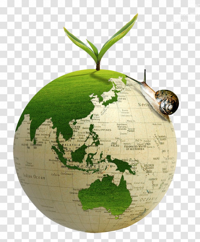 Earth Environmental Protection Environmentally Friendly Natural Environment - Sustainable Products - Green Transparent PNG