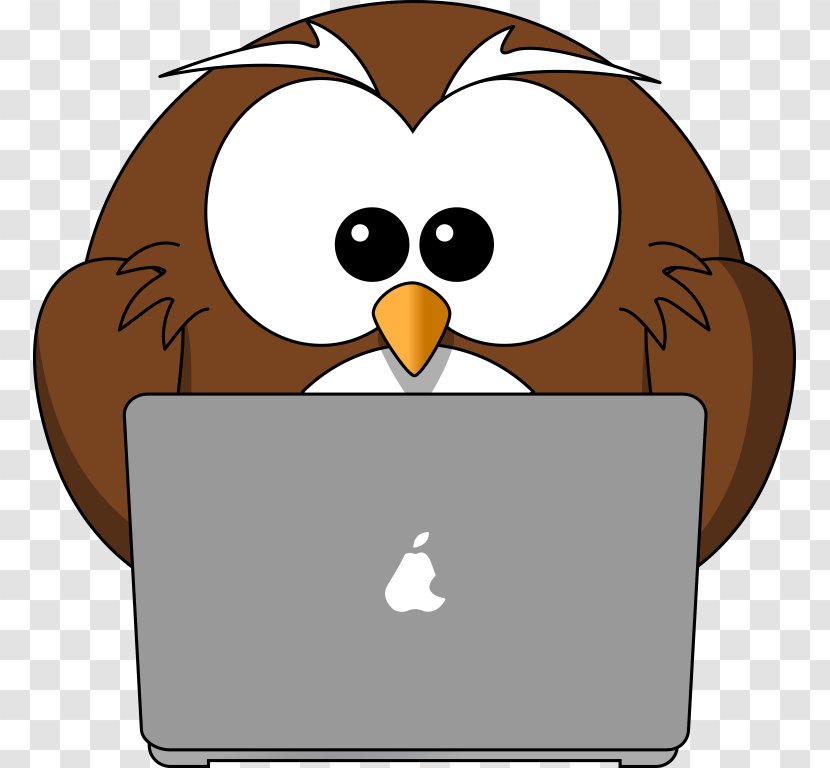 Owl Bird Internet Safety Clip Art - Beak - Laptop Transparent PNG