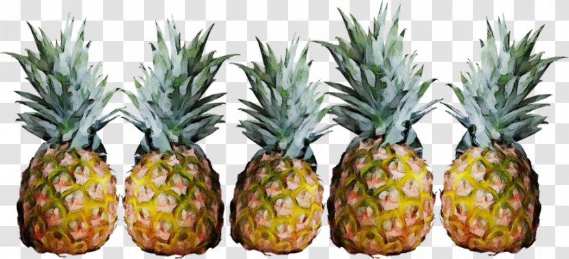 Pineapple Transparent PNG