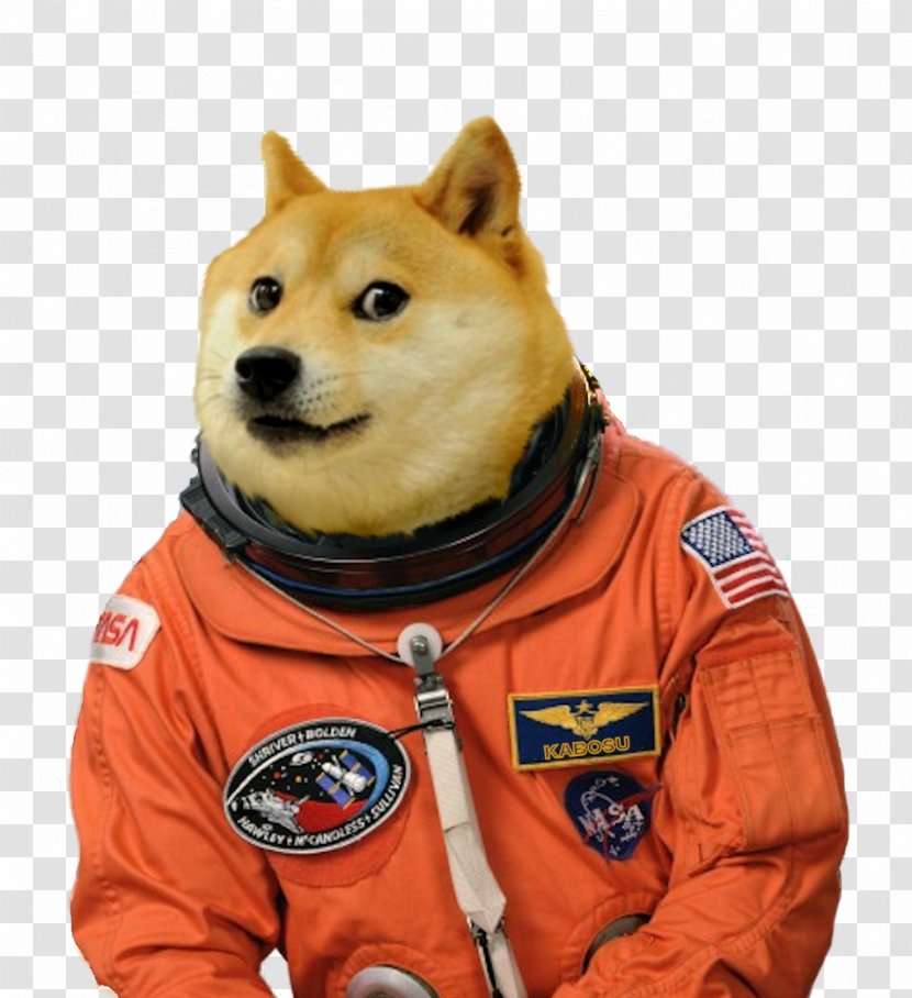 Dog Breed United States Doge Astronaut Transparent PNG