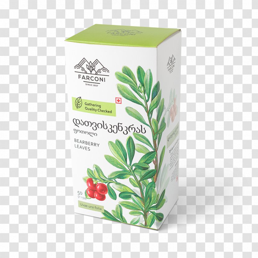 Herb Georgia სამკურნალო მცენარეები Berry Tea - Herbal - Bearberry Transparent PNG