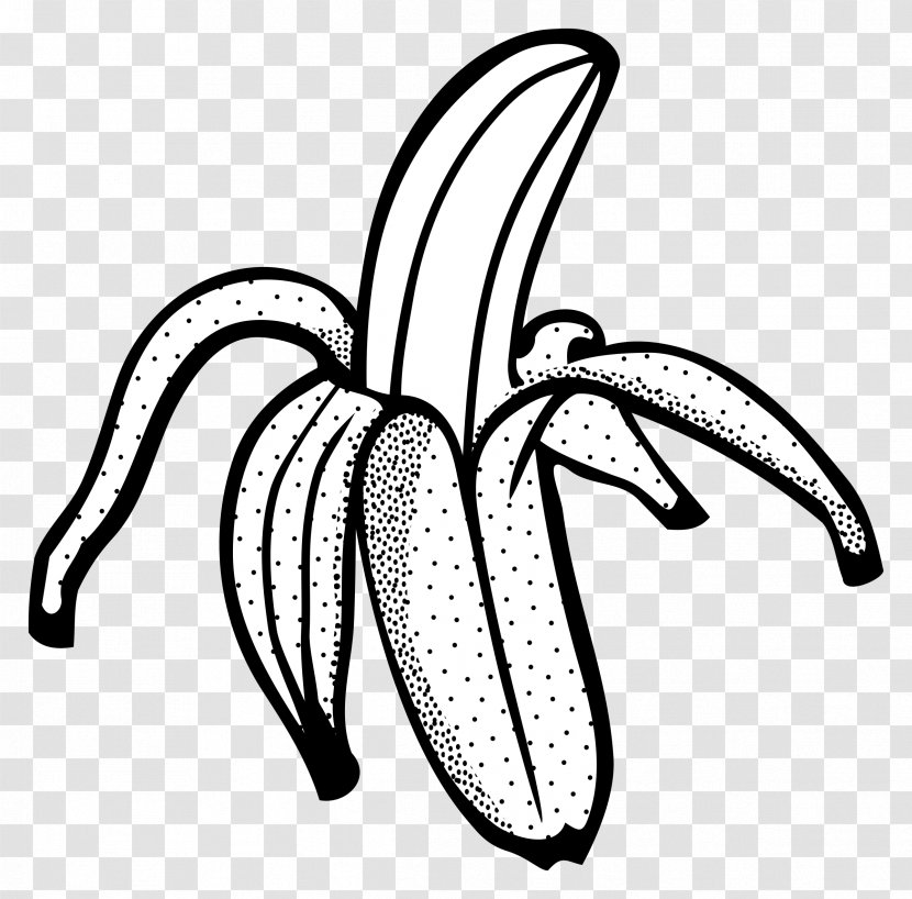 Banana Bread Line Art Drawing Clip - Tree - Leaves Transparent PNG