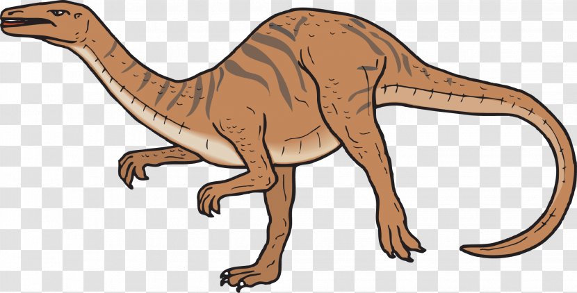 Coelophysis Spinosaurus Coelurus Compsognathus Chirostenotes - Brown Dinosaur Transparent PNG