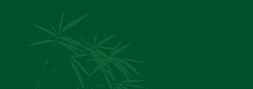 Leaf Green Illustration - Brand - Bamboo Transparent PNG