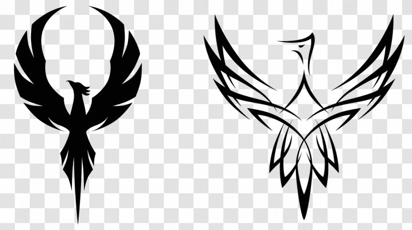 Phoenix Logo Clip Art - Drawing - Black Cliparts Transparent PNG
