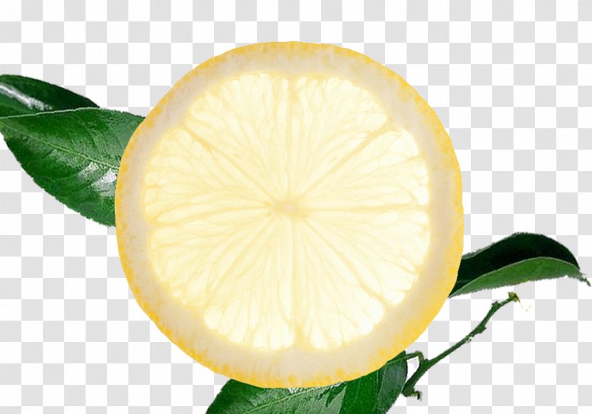 Lemon Leaf Euclidean Vector Computer File - Citric Acid - Slice With Leaves Creative Perspective Transparent PNG