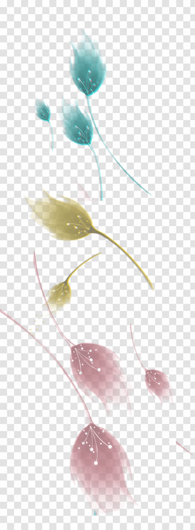 Desktop Wallpaper Close-up - Plant - Design Transparent PNG