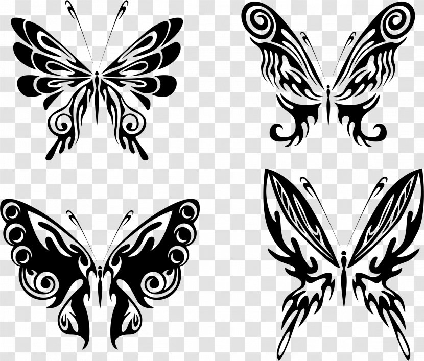 Butterfly Drawing Line Art Clip - Brush Footed - Stamp Transparent PNG