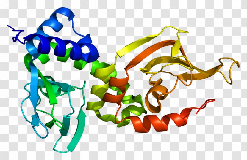 PRKAR1A Gene Protein Kinase A Carney Complex Subunit - Flower - Cartoon Transparent PNG