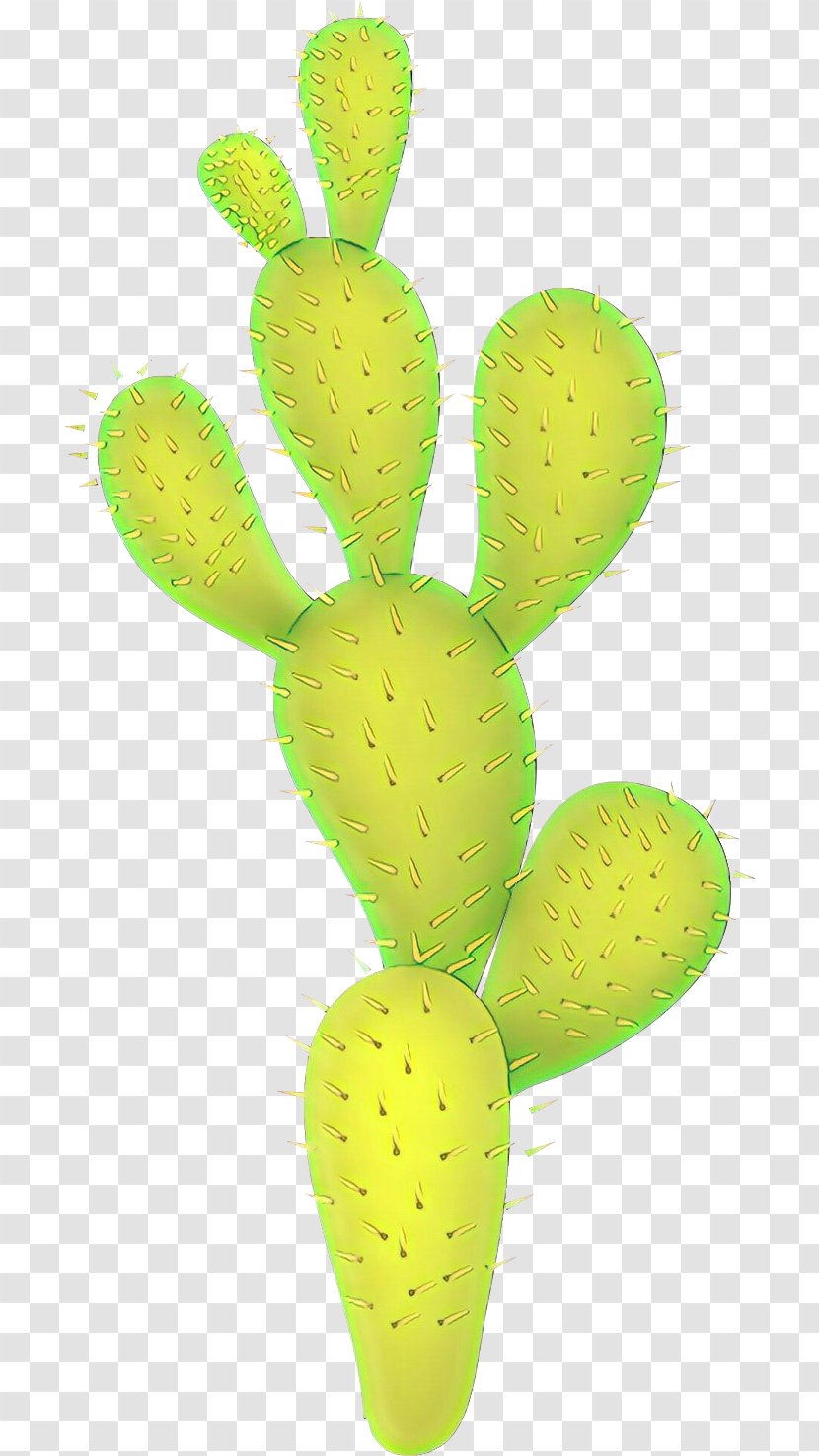 Cactus - Cartoon - Terrestrial Plant Prickly Pear Transparent PNG